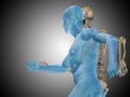 3D illustration of human man medical or health body chest, head Royalty Free Stock Photo