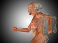 3D illustration of human man medical or health body chest, head Royalty Free Stock Photo