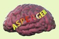 A conceptual 3D illustration featuring the text Asperger Syndrome on the anatomical model of a human brain, highlighting