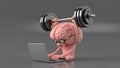 Brain Training Mental Workout with Laptop and Weights Royalty Free Stock Photo
