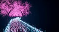A futuristic, abstract 3D Kyoto sakura pathway rendered with neon data streams and pink particle clu Royalty Free Stock Photo