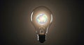 Global Idea Illuminated: Earth Glowing Inside a Light Bulb, Symbolizing Innovation and Environmental Solutions. Royalty Free Stock Photo