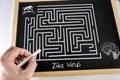 Conceptual diagram drawn with chalk on a Blackboard green of the Of Zica virus ZIKV