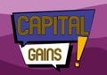 Conceptual display Capital Gains. Internet Concept Bonds Shares Stocks Profit Income Tax Investment Funds Two Colorful