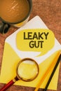 Conceptual display Leaky Gut. Business concept A condition in which the lining of small intestine is damaged