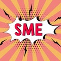 Conceptual display Sme. Business idea small to midsize enterprise maintain revenues asset number of employee Lady in