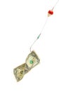 Conceptual. Dollar bill in a hook Royalty Free Stock Photo