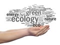 Conceptual ecology word cloud isolated Royalty Free Stock Photo