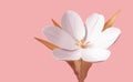 Conceptual Synthetic Flower Tulip On Pink Background