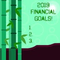 Conceptual hand writing showing 2019 Financial Goals. Business photo showcasing New business strategy earn more profits Royalty Free Stock Photo