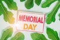 Conceptual hand writing showing Memorial Day. Business photo text remembering the military demonstratingnel who died in