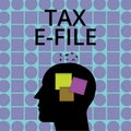 Conceptual hand writing showing Tax E File. Business photo text System submitting tax documents to US Internal Revenue