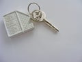 Conceptual house key isolated Royalty Free Stock Photo