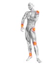 Human muscle anatomy red yellow hot spot inflammation