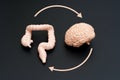 Gut-Brain Axis Diagram with Circular Arrows on Dark Background