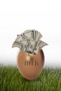 401K retirement nest egg Royalty Free Stock Photo