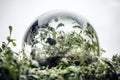 Conceptual illustration of an orb with vegetaion, plants and trees. Earth Day Concept. Generative AI Royalty Free Stock Photo