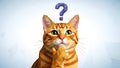 Thinking Cat with Question Mark, Low Poly, Idea Concept Royalty Free Stock Photo
