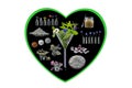 Conceptual image : Alternative herbal medicine in black background heart shape on white herbal medicine concept