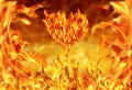 heart shape and fire flames Royalty Free Stock Photo
