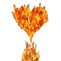 heart shape and fire flames Royalty Free Stock Photo