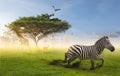 Conceptual image of common African safari wildlife animals meeting together around a tree. Wildlife conservation concept Royalty Free Stock Photo