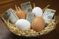 Conceptual image of eggs and cash in a basket