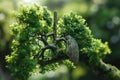 Conceptual image of green tree shaped in human lungs Royalty Free Stock Photo
