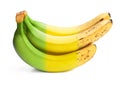 Conceptual image of half ripe banana bunch showing different stages Royalty Free Stock Photo