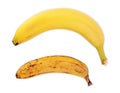 Conceptual image of half ripe banana bunch showing different stages Royalty Free Stock Photo