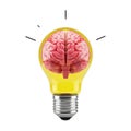 A bright yellow light bulb containing a pink human brain isolated on white background Royalty Free Stock Photo