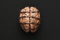 Conceptual image of a human brain protected by barbed wire Royalty Free Stock Photo