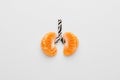 Conceptual image of human lungs Royalty Free Stock Photo