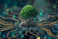Conceptual image of a miniature tree growing on the surface of a computer board, the roots of which are integrated into