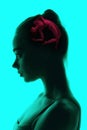 Conceptual image with silhouette of young girl and pictures in her head with secrets of subconsciousness, human