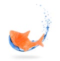 Conceptual image of a slice of red fish with water splash on white background