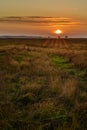 Conceptual image of sunset in grass field.