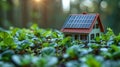 Conceptual image sustainable home, solar panels on roof, lush greenery, eco-friendly living and renewable energy integration Royalty Free Stock Photo