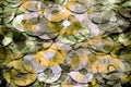 Layered photo illustration of silver and gold CD and DVD data storage disks