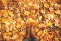 Conceptual legs in boots on the autumn leaves. Feet shoes walking in nature.