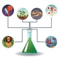 Conceptual map connected of color circular icons with picture world evolution to glass beaker with formula