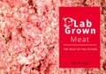 Conceptual Photo of Artificial Lab grown meat, Cultured meat