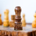 Conceptual photo of chess king standing Royalty Free Stock Photo