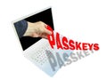 passkey code access security computers online internet danger fraud warning passwords