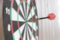 Conceptual photo. Darts on dart board outdoors. Throw darts at the target. The winner, first place. Business target or goal succes