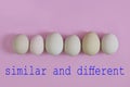 Conceptual photo with text. Eggs similars but differents Royalty Free Stock Photo