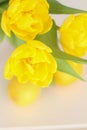 Conceptual photo in Kitchen. Yellow lemons, yellow tulips on the table. Conceptual photo. Interior Photos Royalty Free Stock Photo