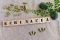 Echinacea herbal medicine Royalty Free Stock Photo