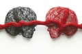 Conceptual photograph of two mesh brain models intertwined by red thread symbolizing collaboration connectivity shared ideas in