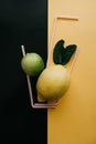 Conceptual photography. Citrus lemonade or juice from fresh fruits in a glass of tubules Royalty Free Stock Photo